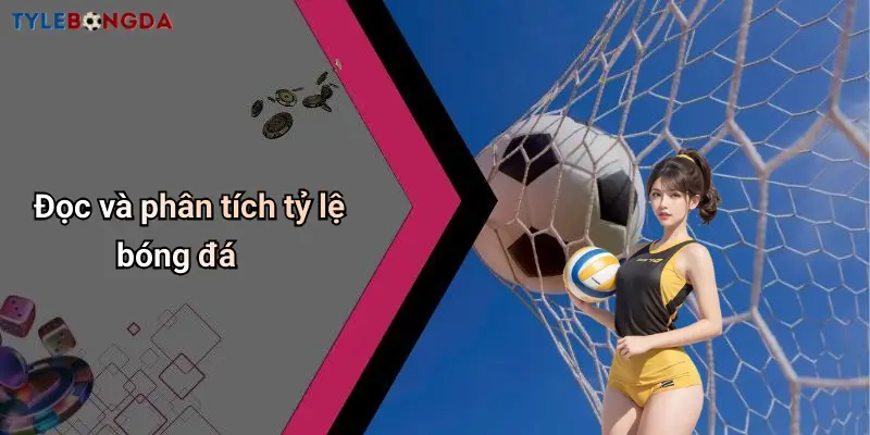 Đọc và phân tích tỷ lệ bóng đá