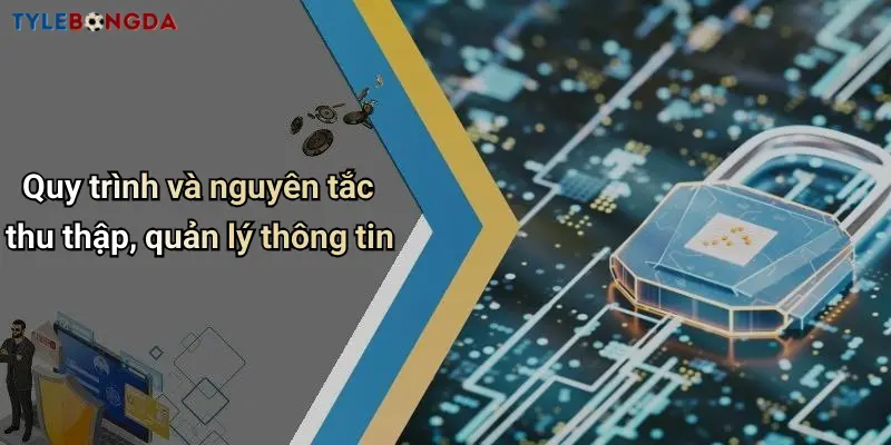 Quy trình và nguyên tắc thu thập, quản lý thông tin