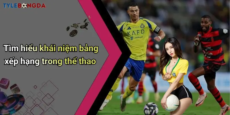 Tìm hiểu khái niệm bảng xếp hạng trong thể thao