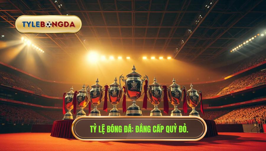 Manchester United đã vô địch bao nhiêu lần? Thống kê chi tiết nhất